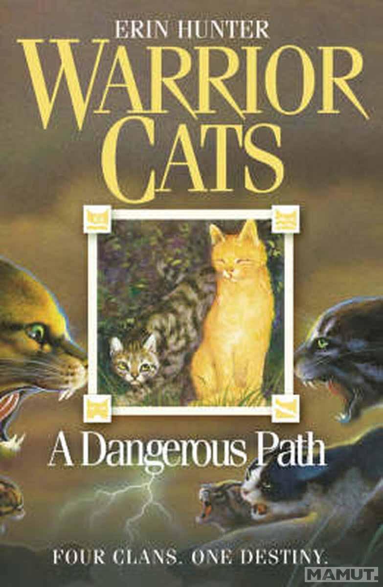 WARRIOR CATS 5 A DANGEROUS PATH 