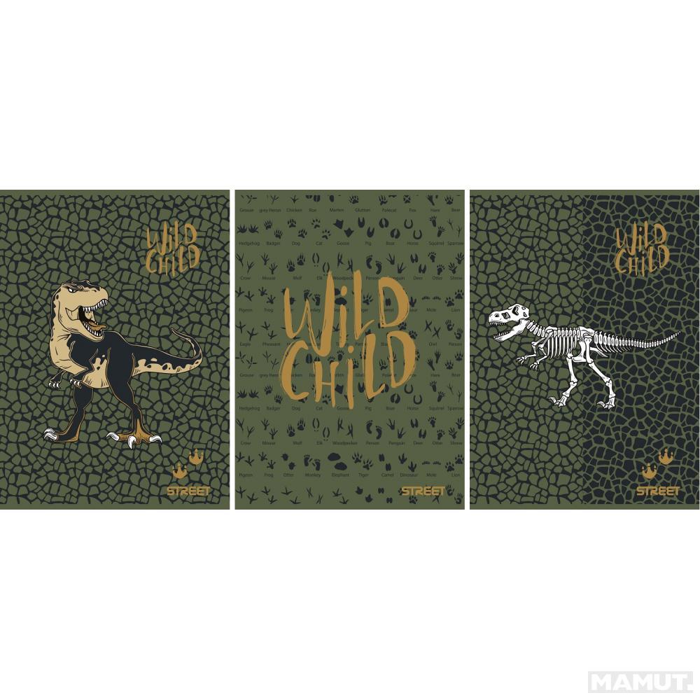 Sveska A5 na linije DINOSAURS 