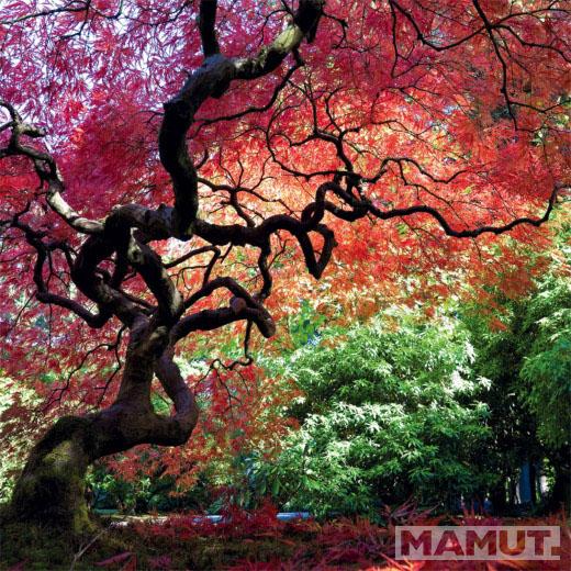 Zidni kalendar za 2023 - JAPANESE GARDEN 