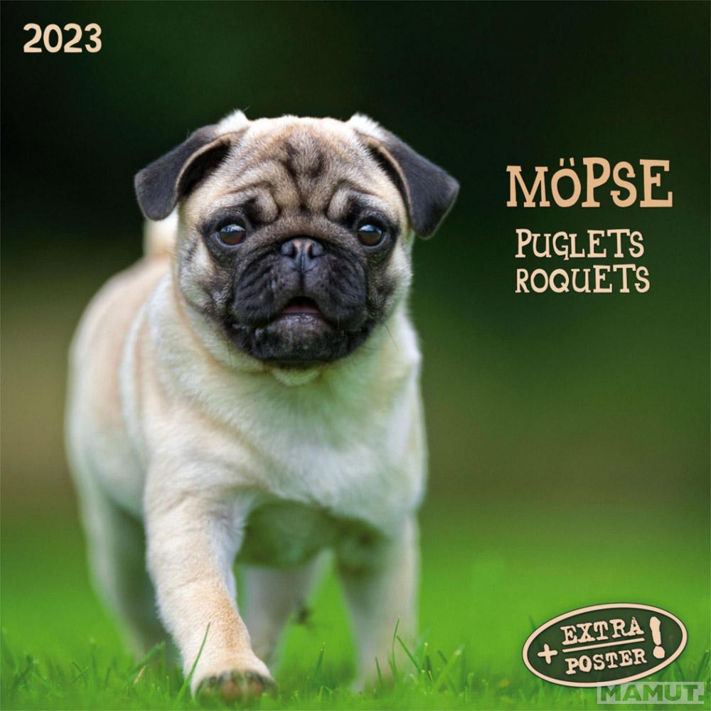 Zidni kalendar 2023 - MOPS 