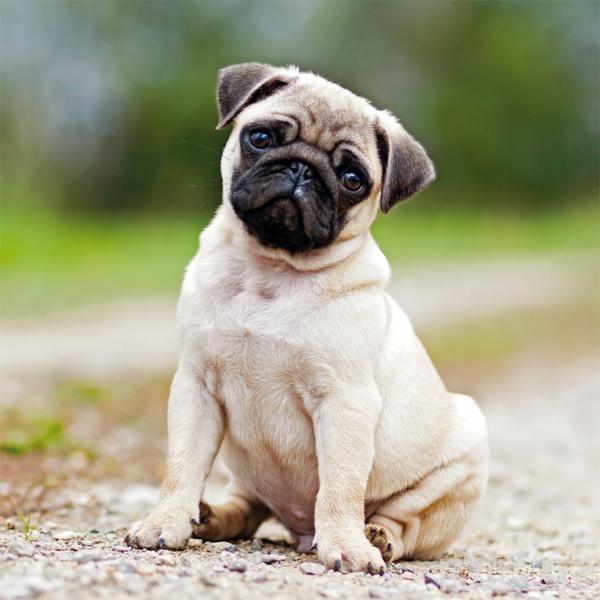 Zidni kalendar 2023 - MOPS 