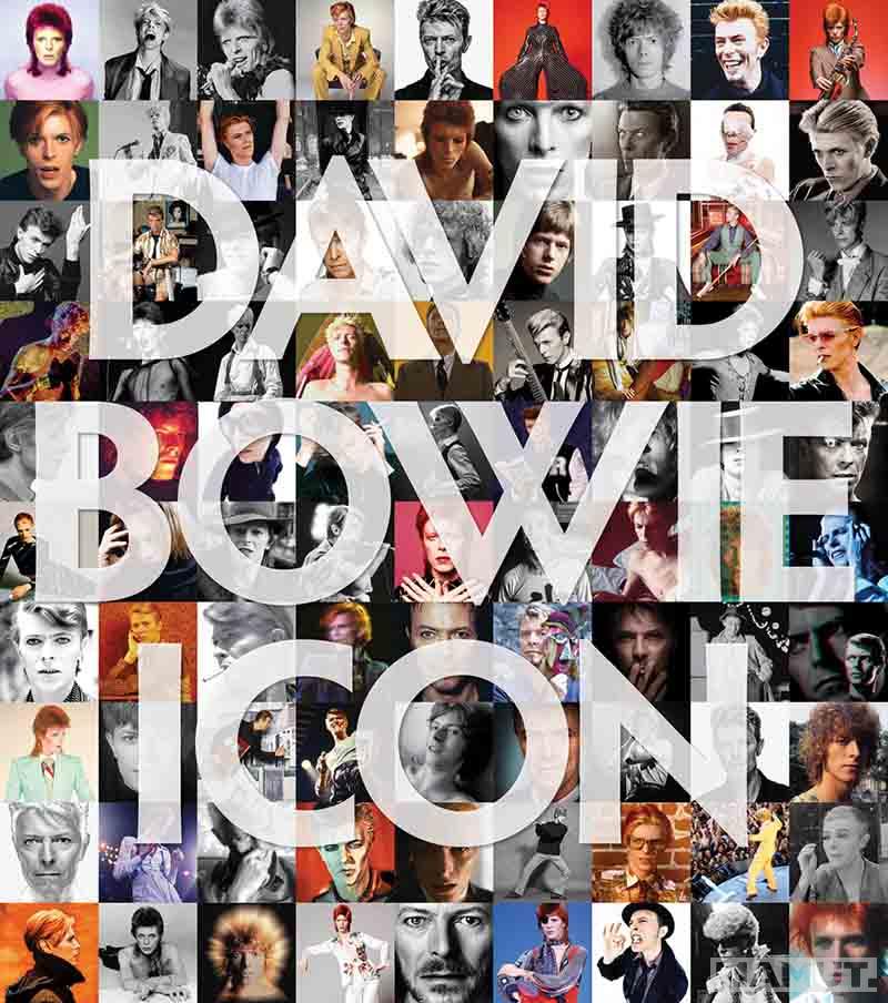 DAVID BOWIE ICON 