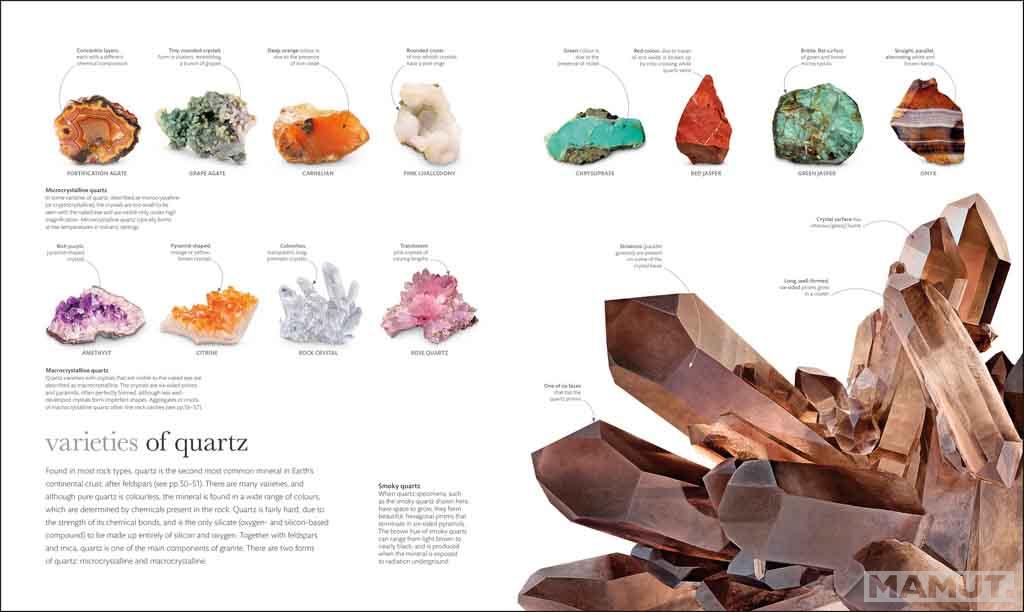 THE SCIENCE OF THE EARTH 