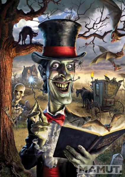 Puzzle ČAROBNJAK -500 kom 