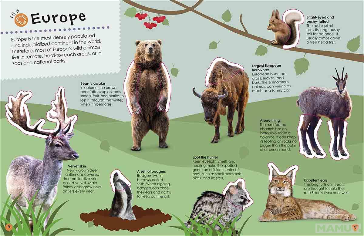 ULTIMATE STICKER BOOK ANIMALS 