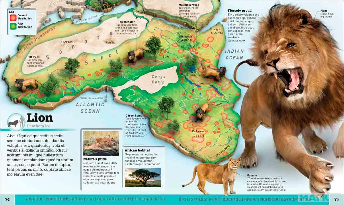 WHATS WHERE ON EARTH ANIMAL ATLAS 