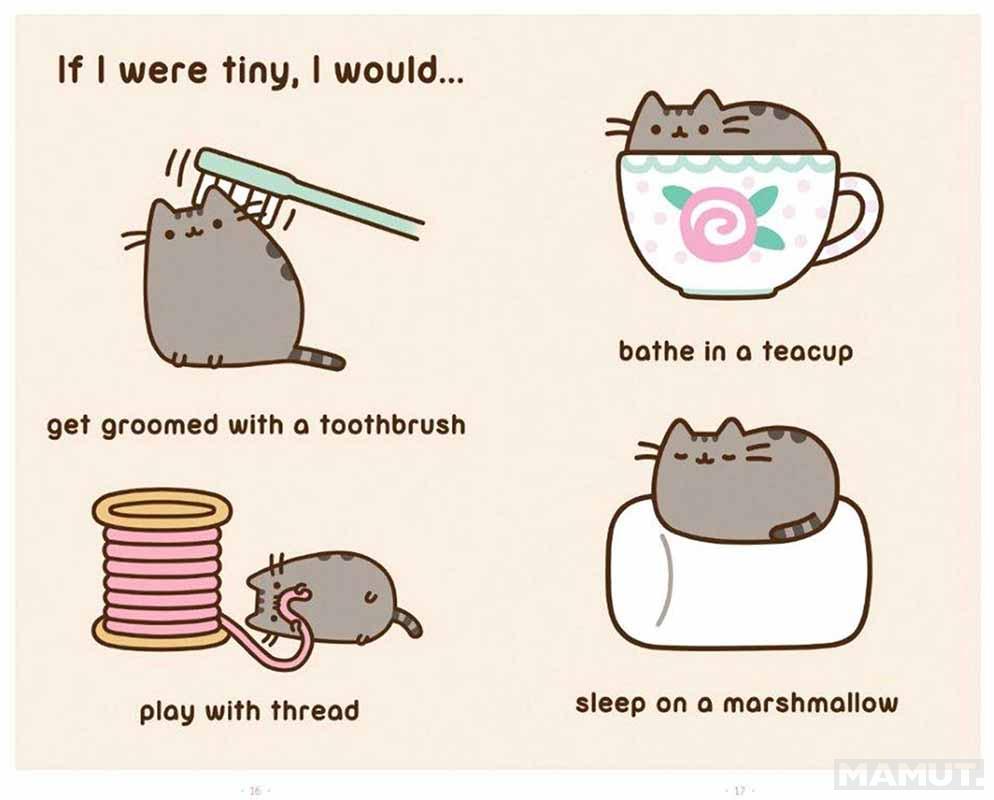 I AM PUSHEEN THE CAT 