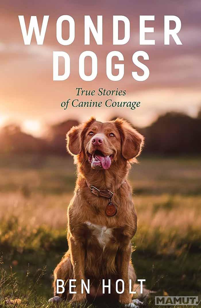 WONDER DOGS 