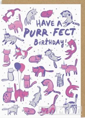 Rođendanska čestitka PURRFECT BIRTHDAY 