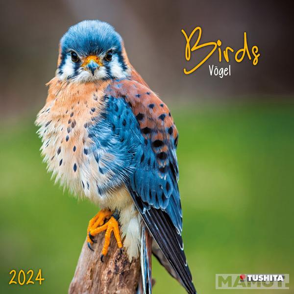 Zidni kalendar BIRDS IN OUR GARDEN 2024 