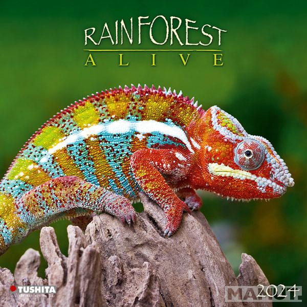 Zidni kalendar RAINFOREST ALIVE 2024 