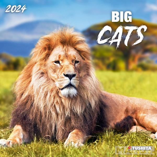 Zidni kalendar BIG CATS (NEU) 2024 
