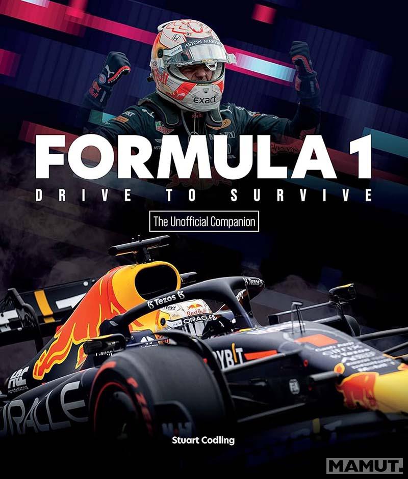 FORMULA 1 DRIVE TO SURVIVE 