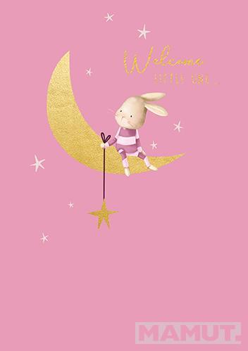 Čestitka za rođenje WELCOME LITTLE ONE Roze 