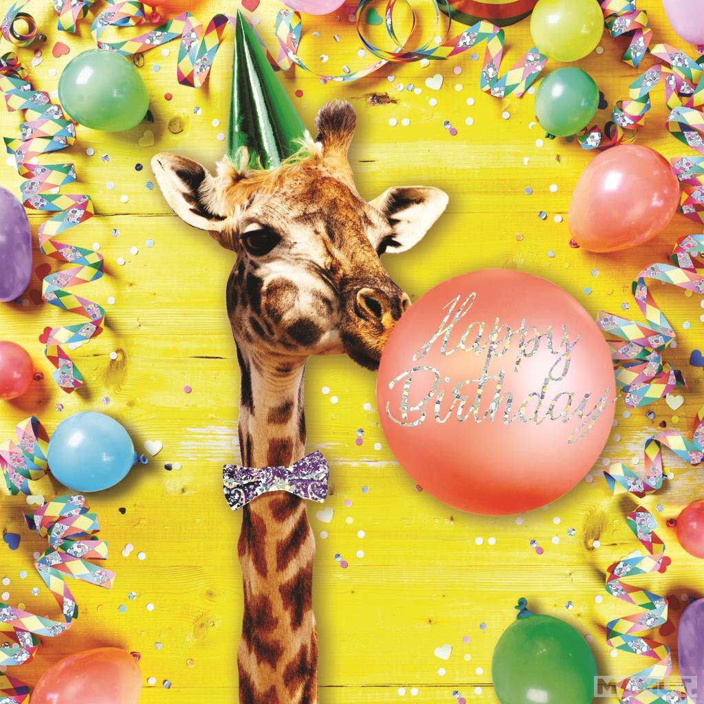 Rođendanska čestitka GIRAFFE/BALLOON/HAT 