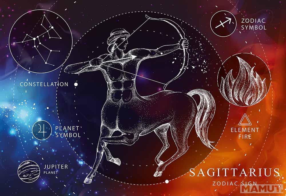 PUZZLE 250kom HOROSKOP STRELAC 