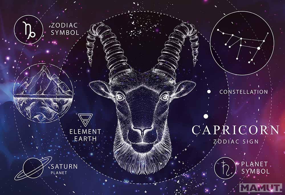 PUZZLE 250kom HOROSKOP JARAC 