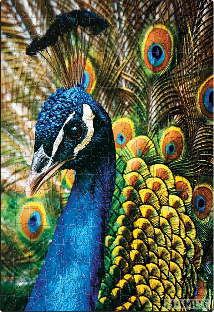 PUZZLE 250kom COLOURFUL NATURE PEACOCK 