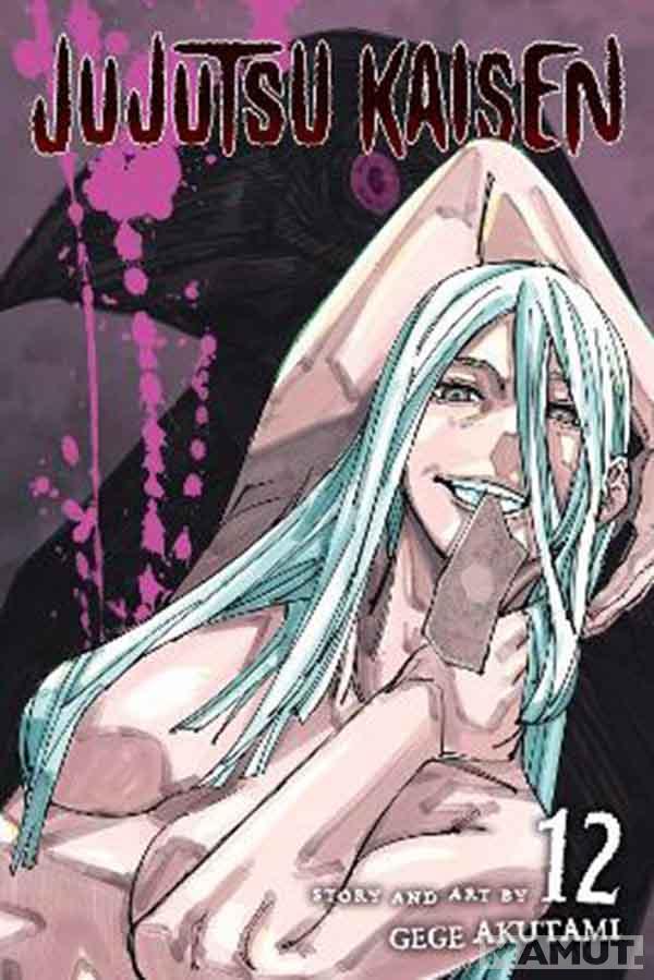 JUJUTSU KAISEN, VOL. 12 