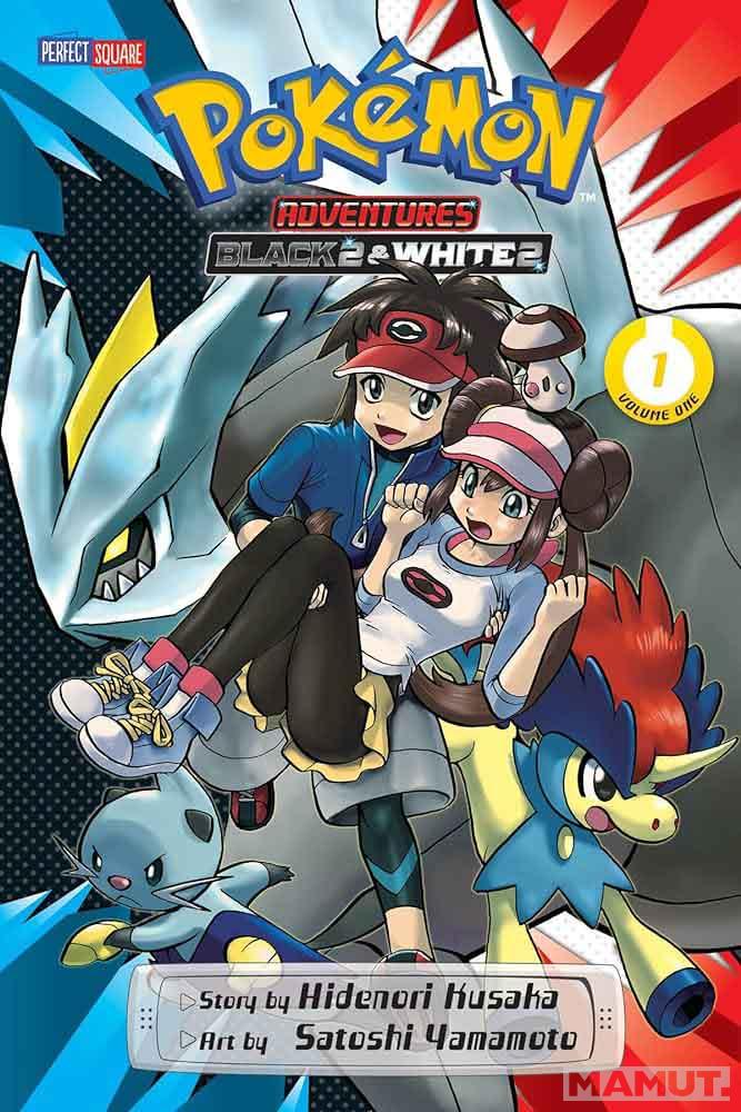POKEMON ADV B2W2 01 