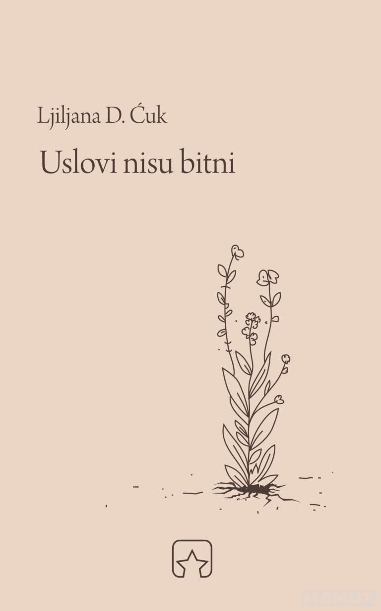 USLOVI NISU BITNI 