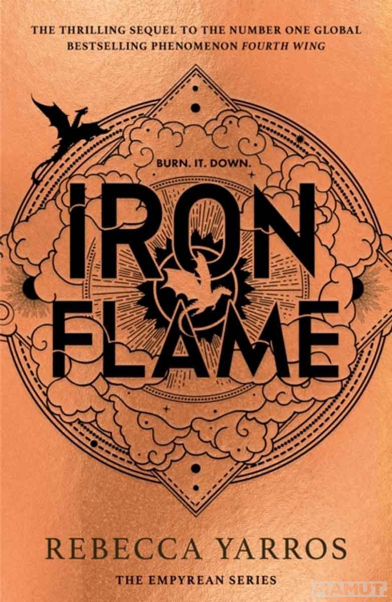 IRON FLAME TikTok Hit 