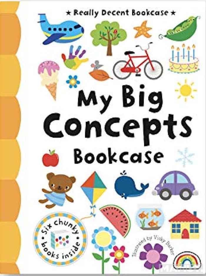 MY BIG CONCEPTS BOOKCASE 