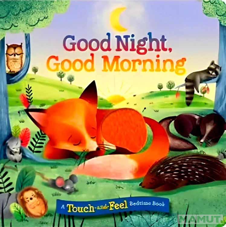 GOOD NIGHT GOOD MORNING Touch-and-feel 