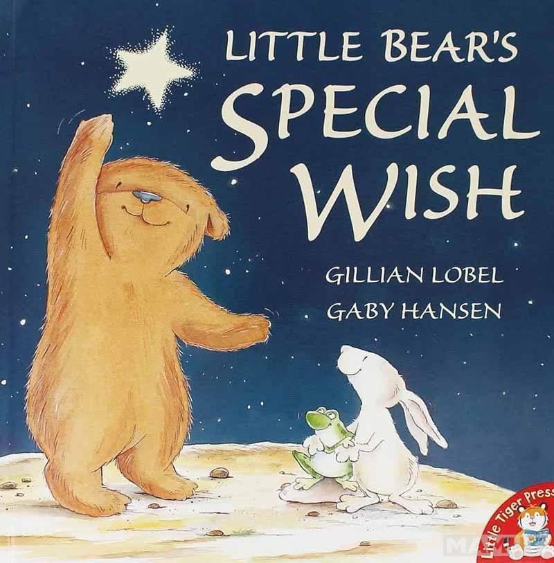 LITTLE BEAR S SPECIAL WISH 