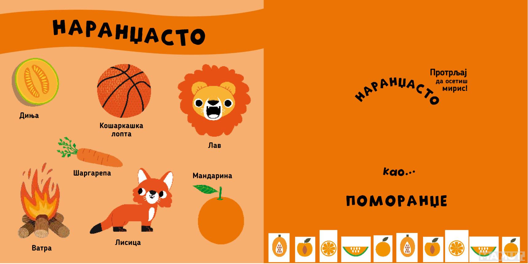 VOĆE Moja knjiga mirisa i boja 