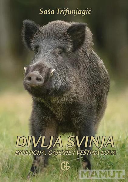 DIVLJA SVINJA 