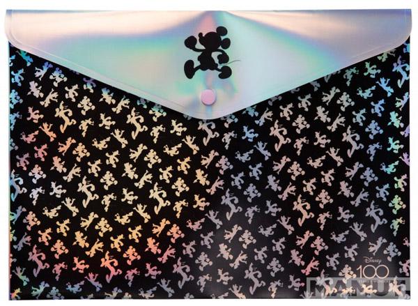 Fascikla za dokumenta A4 / VIŠE VRSTA 