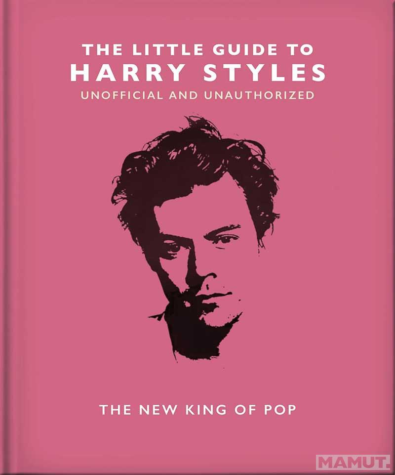 THE LITTLE GUIDE TO HARRY STYLES 