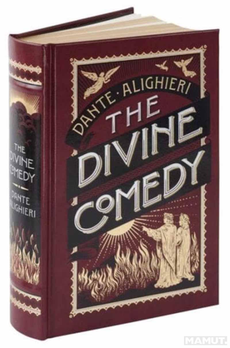 THE DIVINE COMEDY 