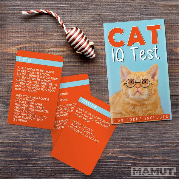 Društvena igra CAT IQ TEST 