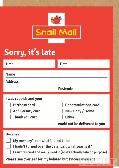 Čestitka SNAIL MAIL 