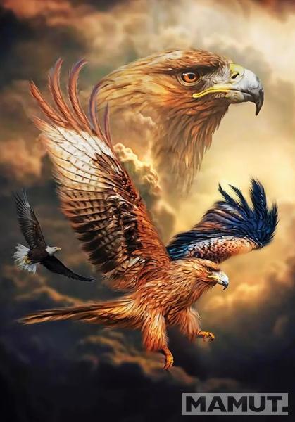Puzzle EAGLE SKY 1000kom 