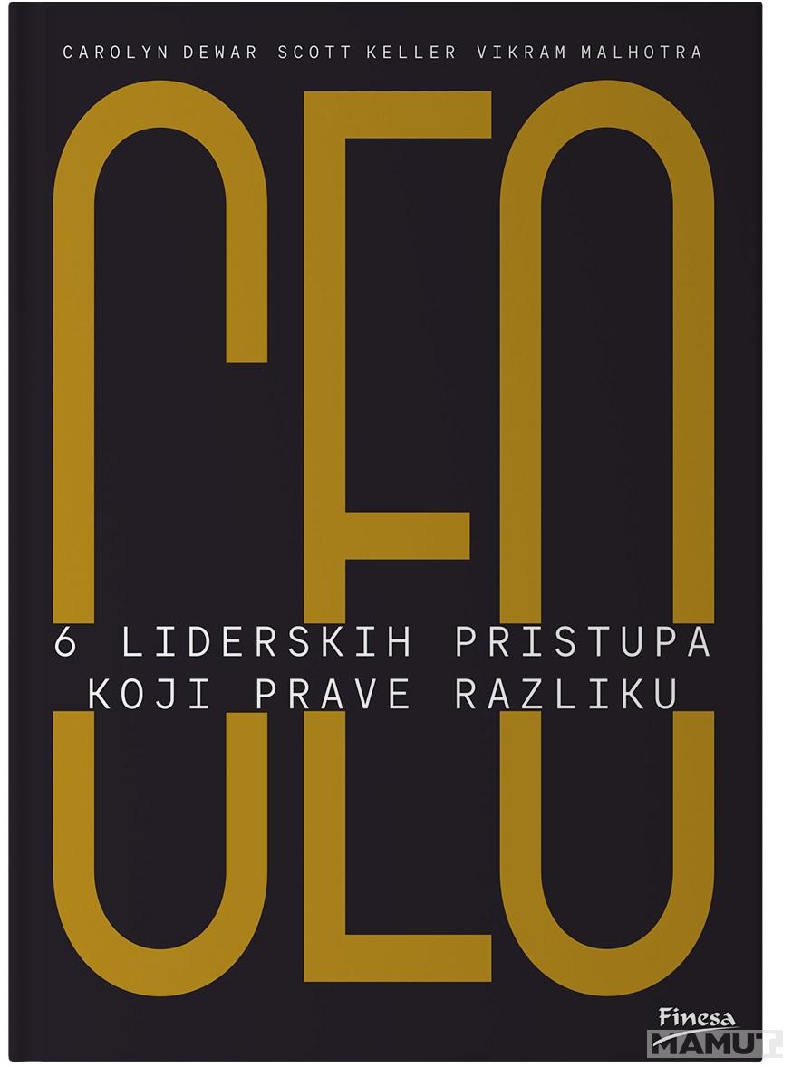 CEO 6 liderskih pristupa koji prave razliku 