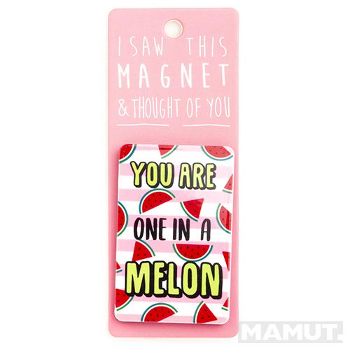 Magnet za frižider I SAW THIS MAGNET You Are One in a Melon 