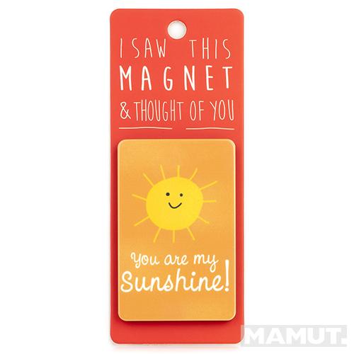 Magnet za frižider I SAW THIS MAGNET You Are My Sunshine 