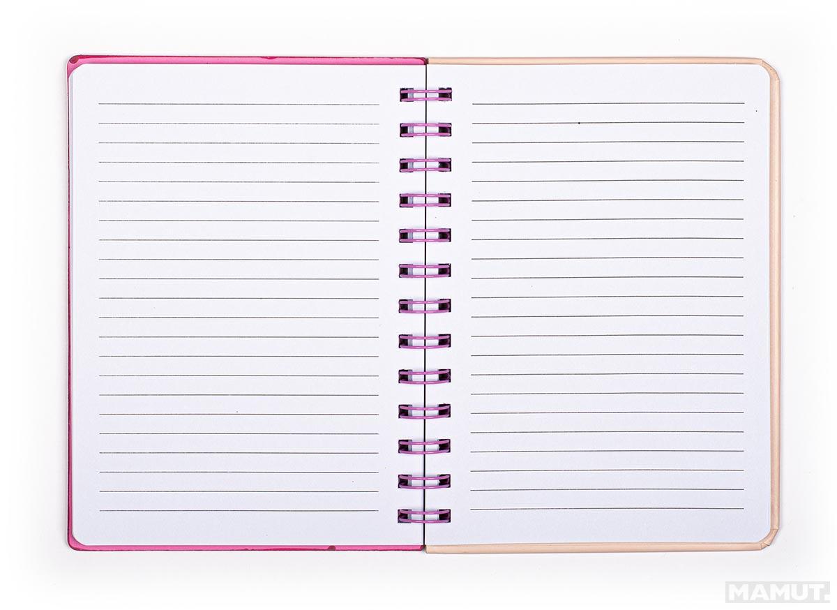 Notes sa digitronom DREAM 