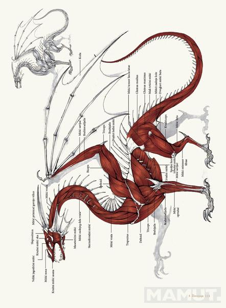 UMETNOST FANTASTIKE 