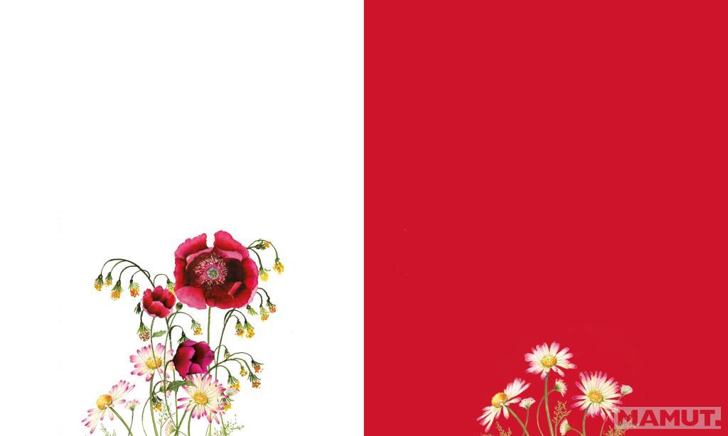 Čestitka POPPIES 