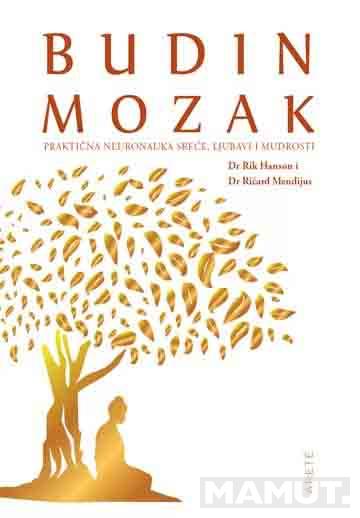 BUDIN MOZAK 
