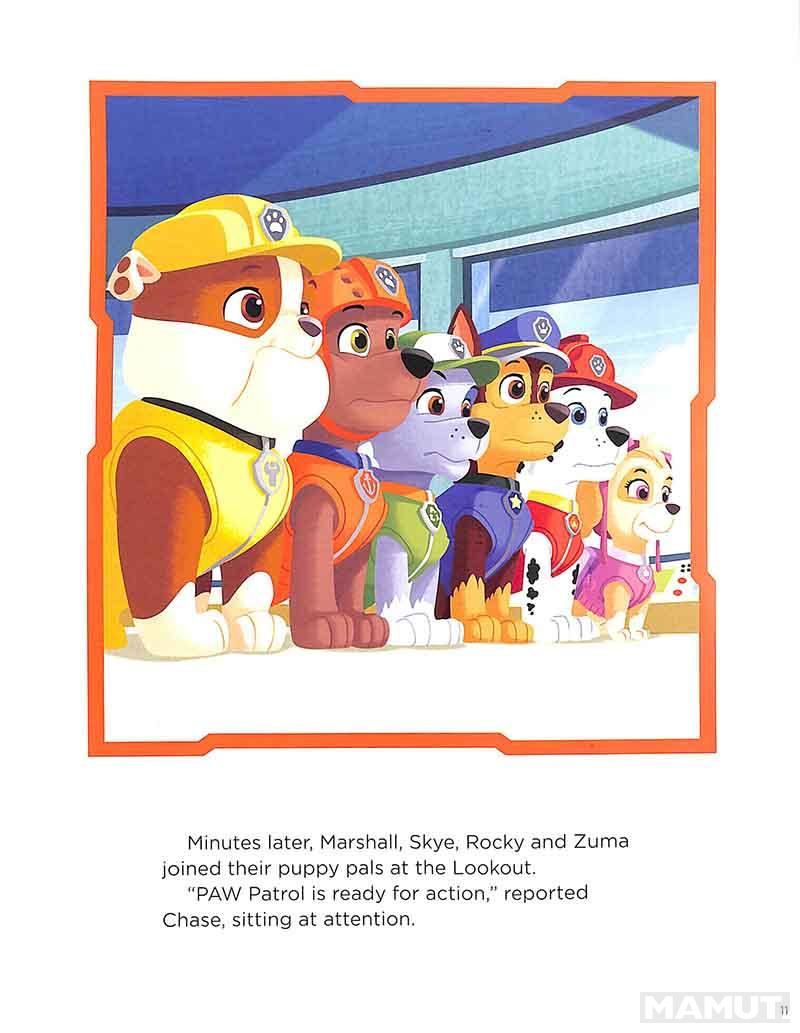 PAW PATROL TREASURY 