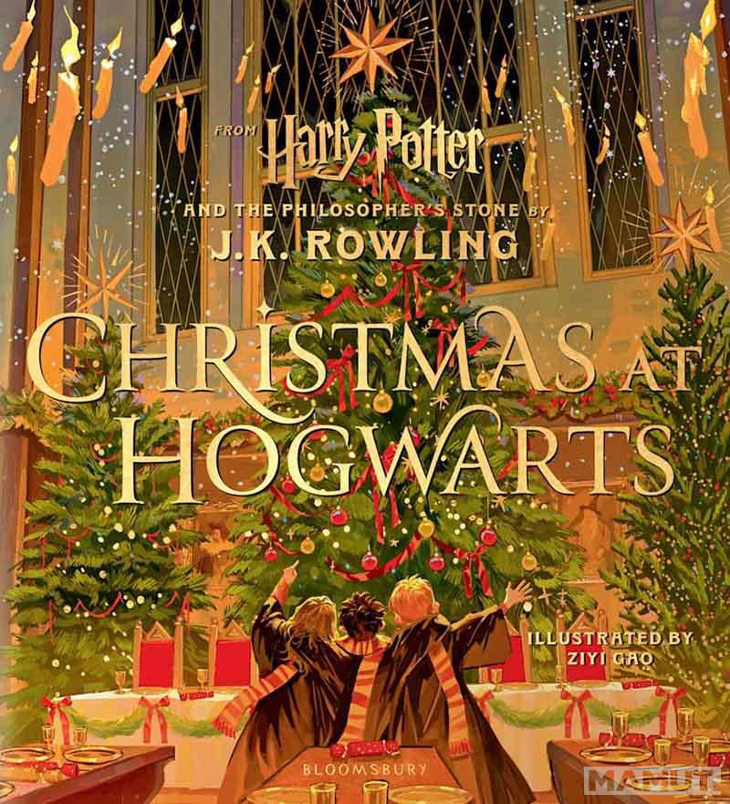 CHRISTMAS IN HOGWARTS 