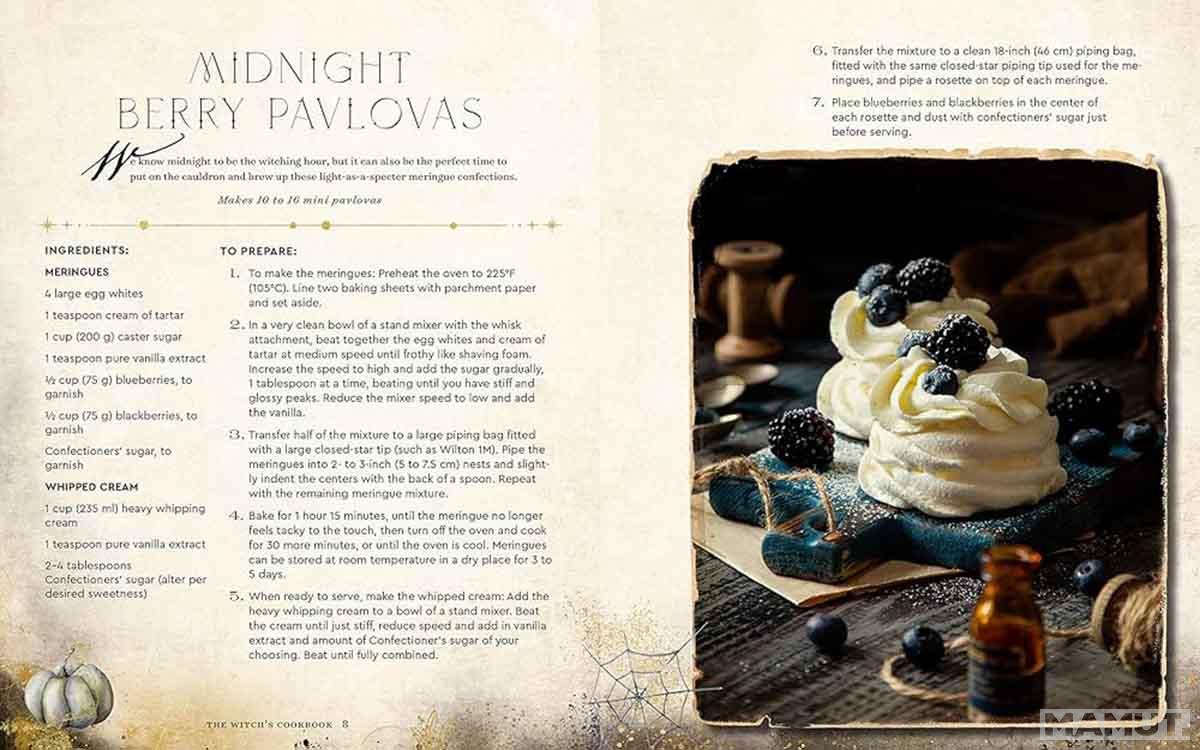 THE WITCH S COOKBOOK 
