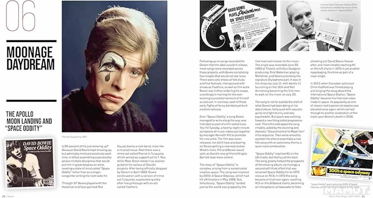 DAVID BOWIE Rock 'n' Roll Chameleon 