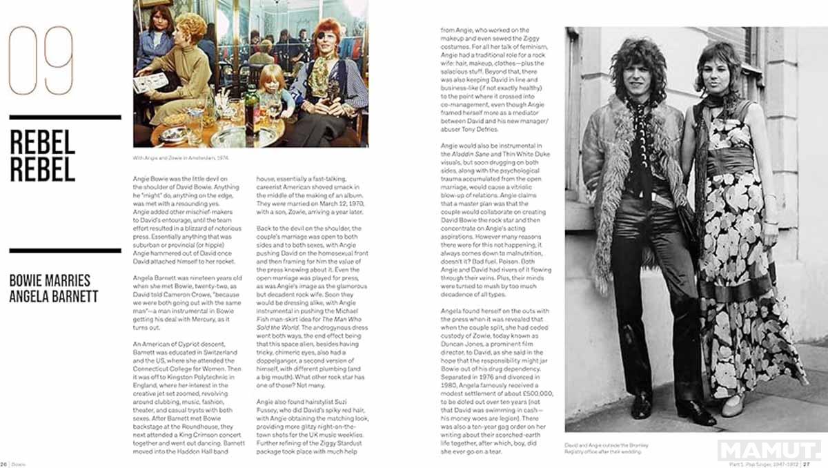 DAVID BOWIE Rock 'n' Roll Chameleon 