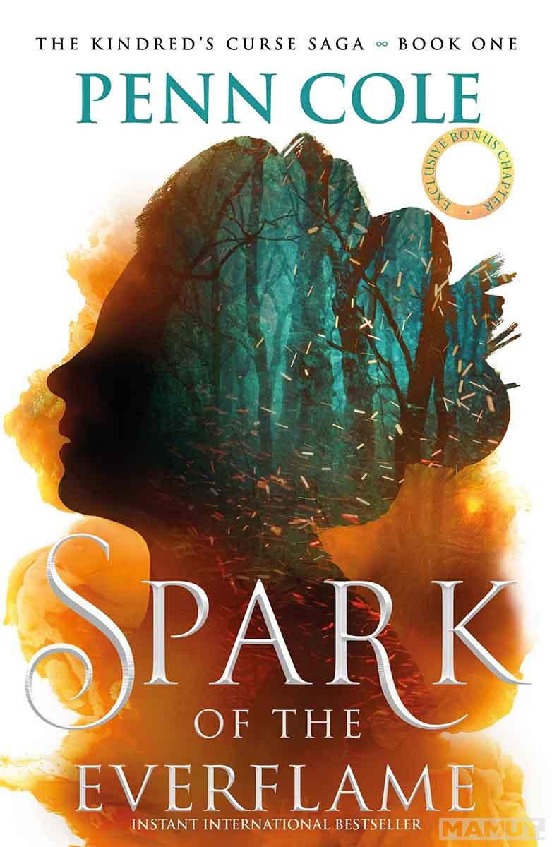 SPARK OF THE EVERFLAME, book 1 